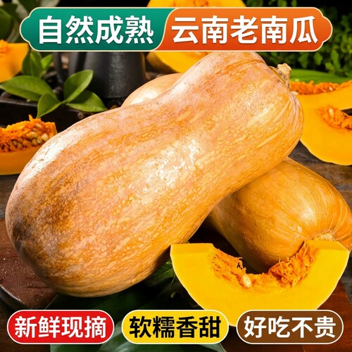云南高山新鲜密本老南瓜软糯香甜