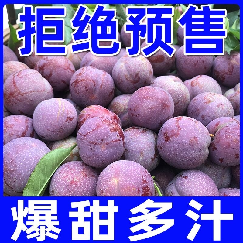 现摘李子钱排三华李新鲜水果红心李红肉脆李孕妇水果酸甜大果产地