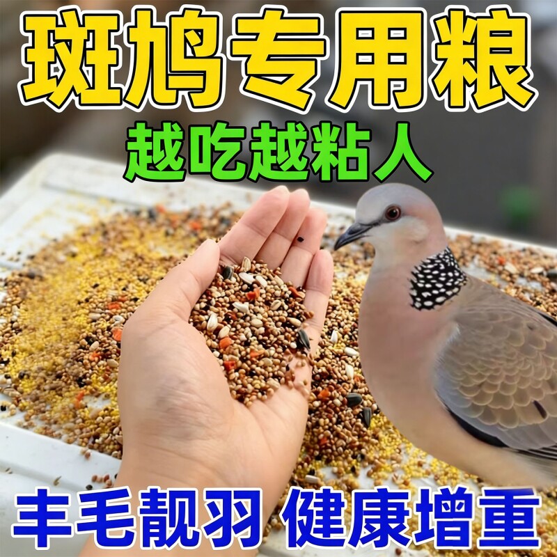 斑鸠专用粮食幼鸟投喂谷物鸽子中小颗粒五色黍子饲料通用营养鸟粮