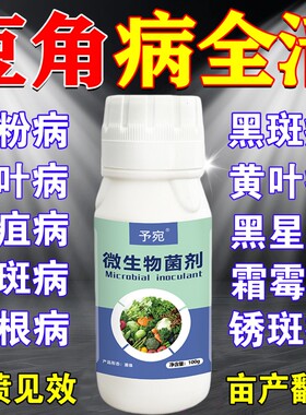 豆角锈病病菌清豆角专用药四季豆病害药根腐病绣病叶霉病灰霉叶斑