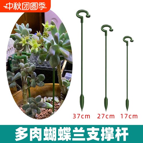 多肉兰花防倒伏支撑杆支撑防倒杆