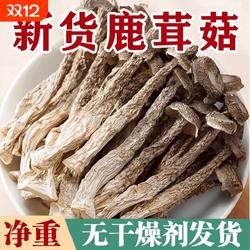 2024非净重无干燥剂古田鹿茸菇新鲜鹿茸菌煲汤菌菇包邮新菌类炖汤