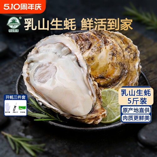 鲜活乳山生蚝新鲜海蛎子牡蛎水产