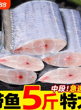 海鱼带鱼段新鲜冷冻四指特大中段深海海鲜海捕刀鱼整条鱼肉水产