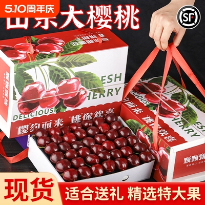 烟台大樱桃  新鲜水果当季大樱桃正宗山东美早当季现摘