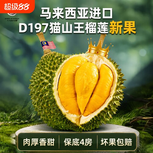 彭亨州马来西亚猫山王榴莲d197