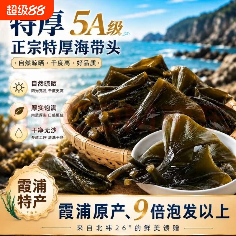 干海带头霞浦正宗新鲜纯海带图片