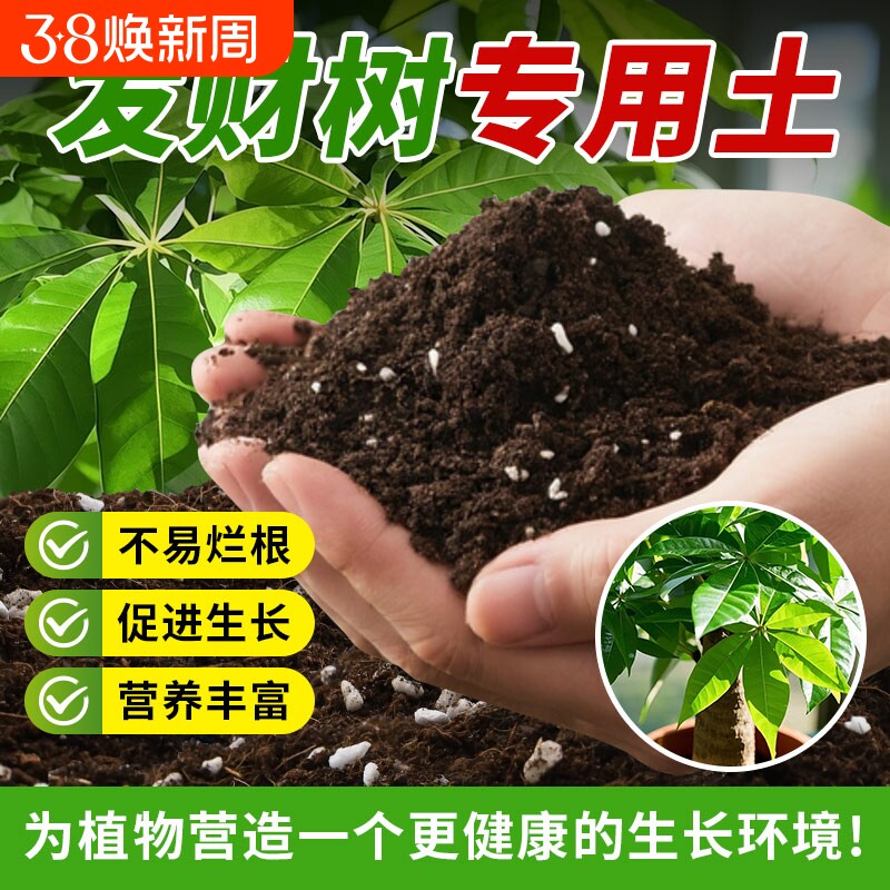 发财树专用土营养土室内阳台家用绿植有机土育苗园艺种植土盆栽土
