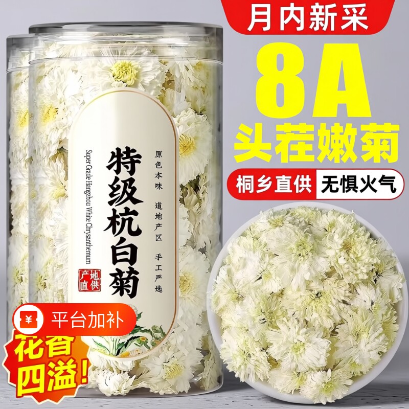 桐乡杭白菊白菊花特级正品黄山正宗去火养生茶泡水菊花茶大朵袋装