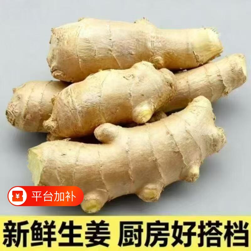 风干水洗姜生姜山东大姜发货新鲜黄姜月子姜批发姜汁红糖姜枣食用