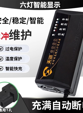 电动车电瓶充电器48v12ah60v20a72v适用于爱玛雅迪三轮铅酸石墨烯