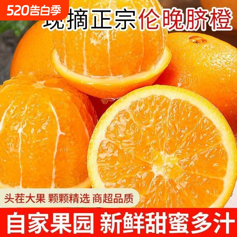 正宗秭归伦晚脐橙新鲜当季水果手剥果冻橙子冰糖甜橙大果整箱包邮