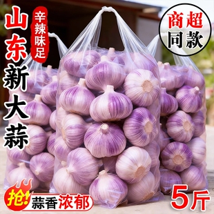 思鲜园山东金乡大蒜头干蒜5斤装紫皮新鲜蔬菜干蒜多瓣蒜农家自种