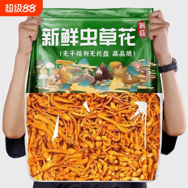 【无干燥剂】新鲜虫草花农家干货金虫草菌菇鹿茸煲汤批发商用净重