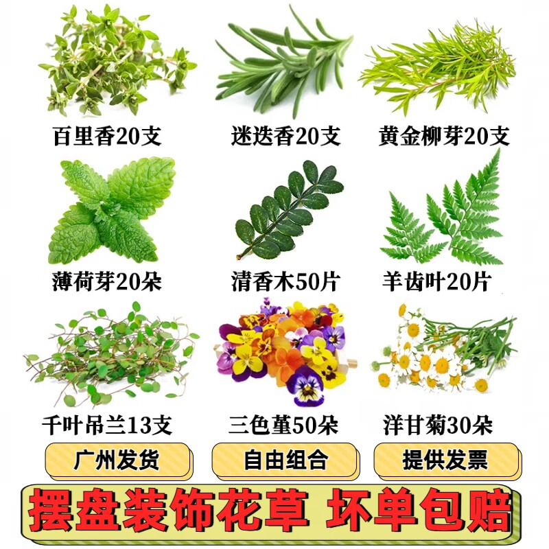 新鲜摆盘装饰花草薄荷芽三色堇清香木叶子羊齿叶饮品调酒蛋糕咖啡