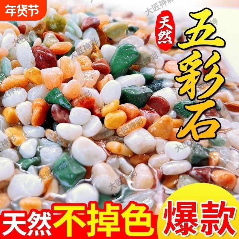 天然雨花石五彩石鱼缸造景底部砂石盆栽多肉铺面石鹅卵石装饰摆件,宠物/宠物食品及用品,造景/装饰,淘宝优惠券,粉丝福利购,淘宝优惠卷