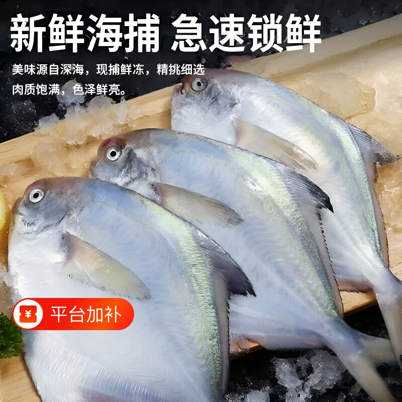 小银鲳鱼新鲜海鲜水产深海银鲳鱼昌鱼冷冻海鱼白鲳鱼平鱼鳊鱼包邮