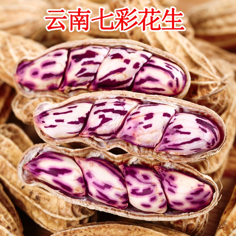 2025新货七彩花生云南特产带壳七彩花生米生晒熟水煮咸干五彩花生