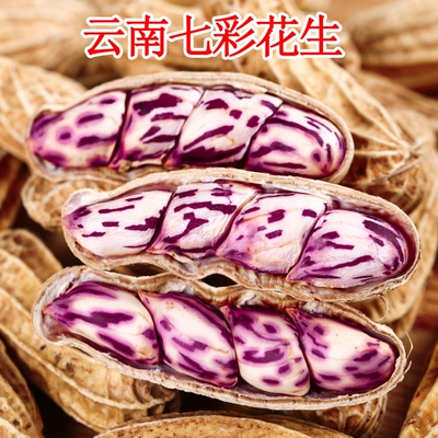 2025新货七彩花生云南特产带壳七彩花生米生晒熟水煮咸干五彩花生
