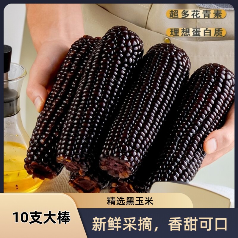 东北黑糯玉米新鲜真空包装软糯粘苞米粗粮代餐现摘黑玉米健康香甜