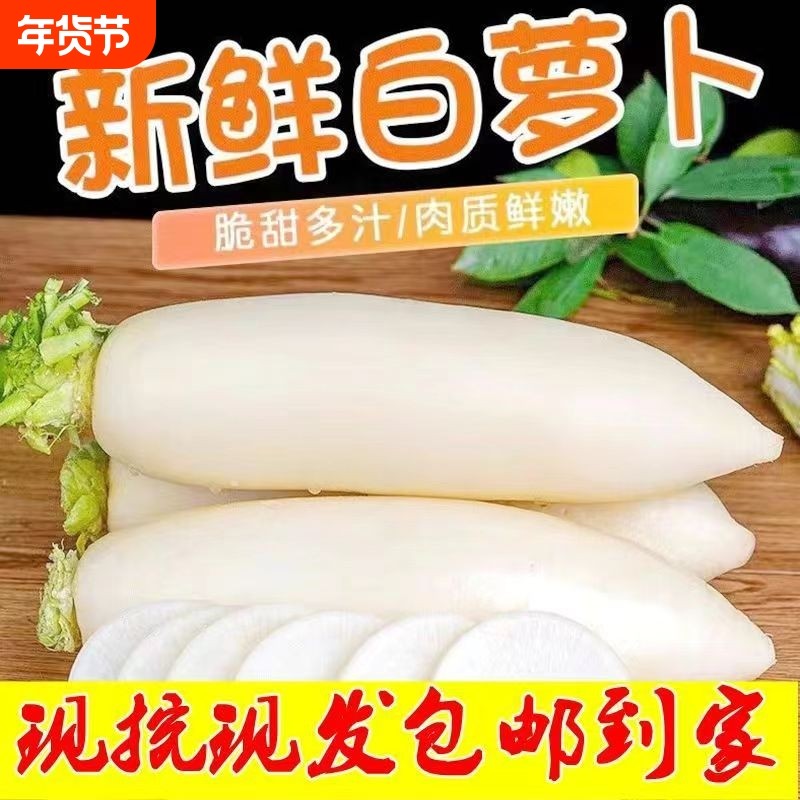 现挖白萝卜新鲜蔬菜甜脆水果长萝卜当季生吃清脆腌菜泡菜包邮自种,水产肉类/新鲜蔬果/熟食,萝卜/胡萝卜,淘宝优惠券,粉丝福利购,淘宝优惠卷