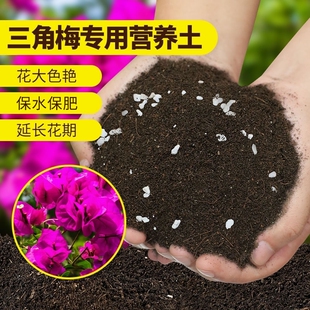 三角梅专用土营养土花土开花盆栽土壤泥土种植土培养土疏松花肥