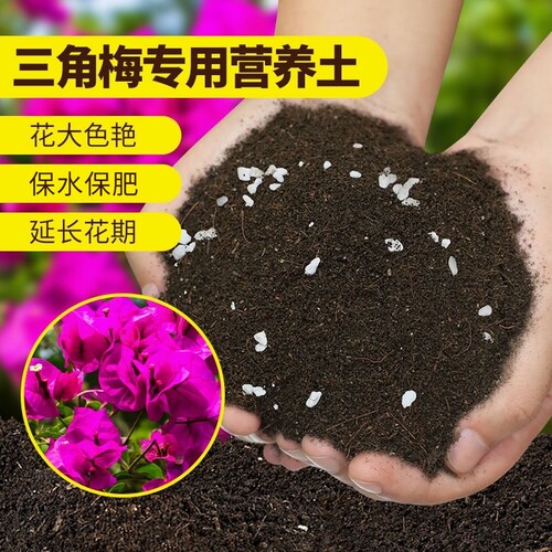 三角梅专用营养土|163人收藏