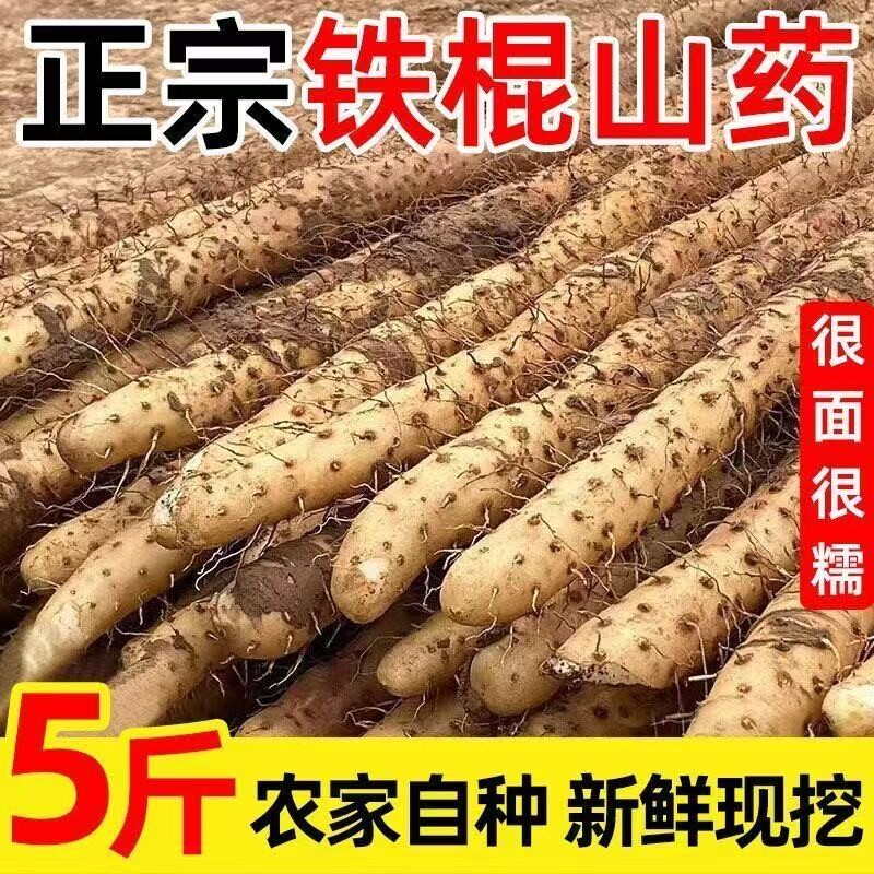 河北铁棍山药小白嘴山药新鲜山药淮山药产地直发新鲜粉糯5斤包邮