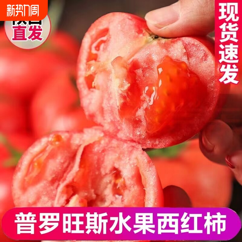 陕西泾阳普罗旺斯西红柿新鲜生吃水果普罗旺斯番茄当季生鲜
