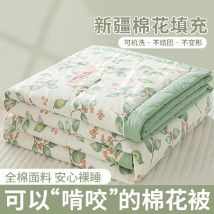 夏凉被空调被芯午睡被子机洗薄款 学生宿舍夏被棉花水洗艾草 夏季