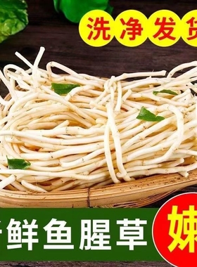 湖 北 特产折耳根嫩叶嫩根鱼腥草猪鼻孔侧耳根现挖新鲜蔬菜火锅菜