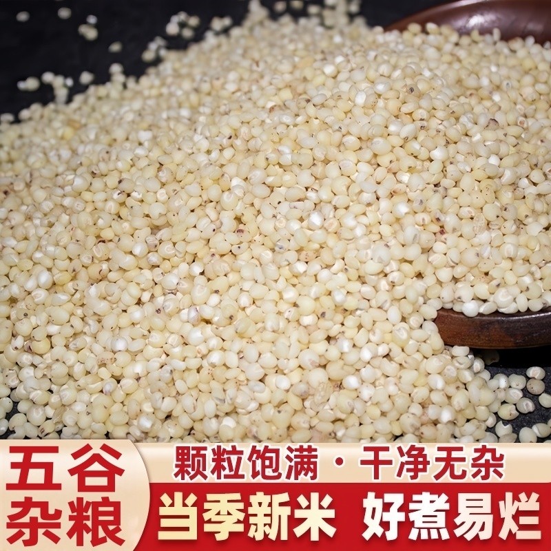 农家白高粱米新米纯五谷杂粮米糙米大米粘糯米营养健康新鲜粗粮食