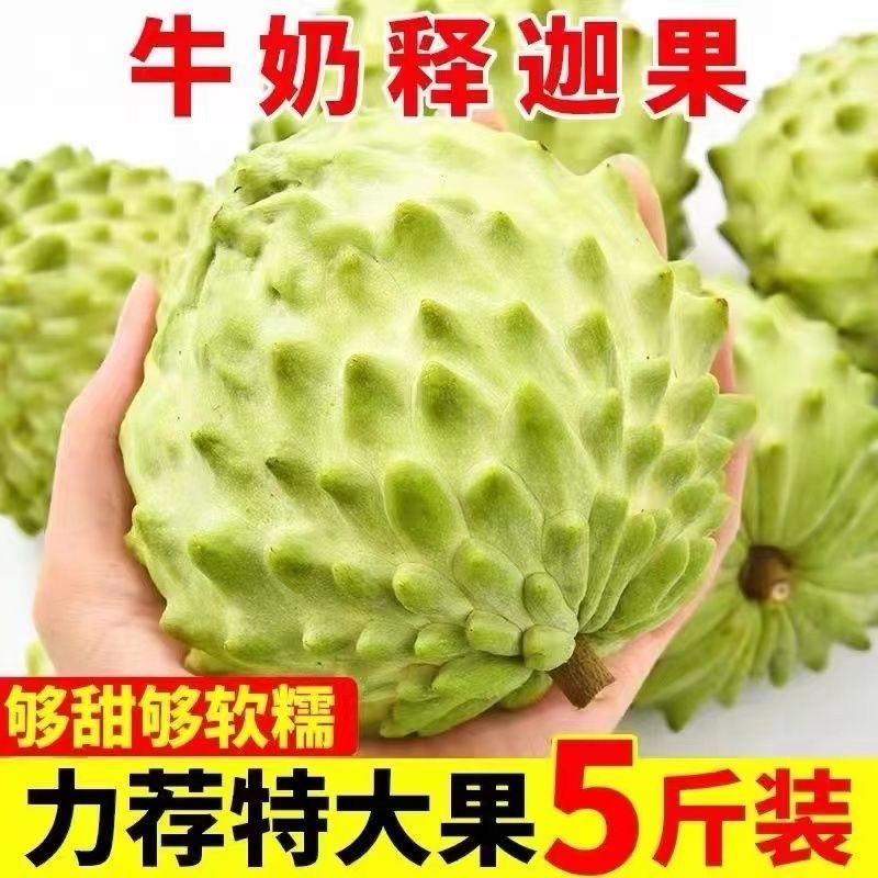 释迦果5斤新鲜大果整箱包邮