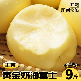 山东烟台黄金奶油富士苹果当季正宗苹果9整箱包邮斤年货节新鲜