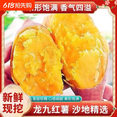 5斤装沙地黄心蜜薯龙九红薯现发地瓜烤红薯农家自种新鲜番薯软糯