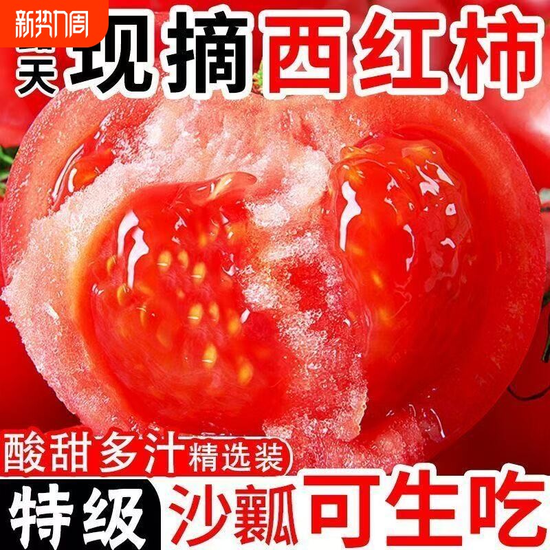 山西沙瓤西红柿现摘新鲜番茄老品种可生吃自然熟番茄水果蔬菜整箱