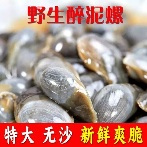 兴洲舟山醉泥螺即食大个头