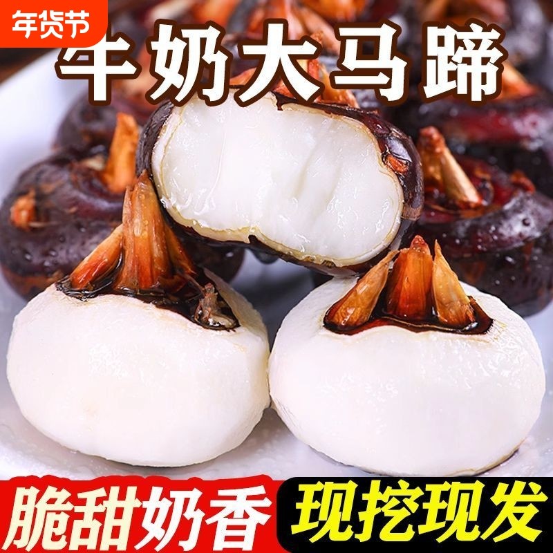 新鲜马蹄5斤荸荠应当季水果蔬菜现挖马蹄莲脆地栗梨饽荠中果,水产肉类/新鲜蔬果/熟食,荸荠/马蹄,淘宝优惠券,粉丝福利购,淘宝优惠卷