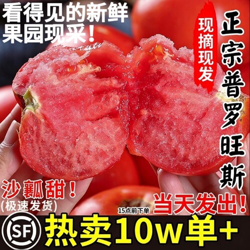 陕西泾阳普罗旺斯西红柿沙瓤新鲜自然熟生吃当季礼盒水果番茄蔬菜