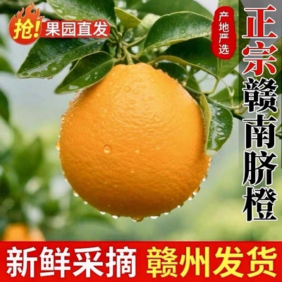 彩箱当季新鲜脐橙|7天热卖上千件