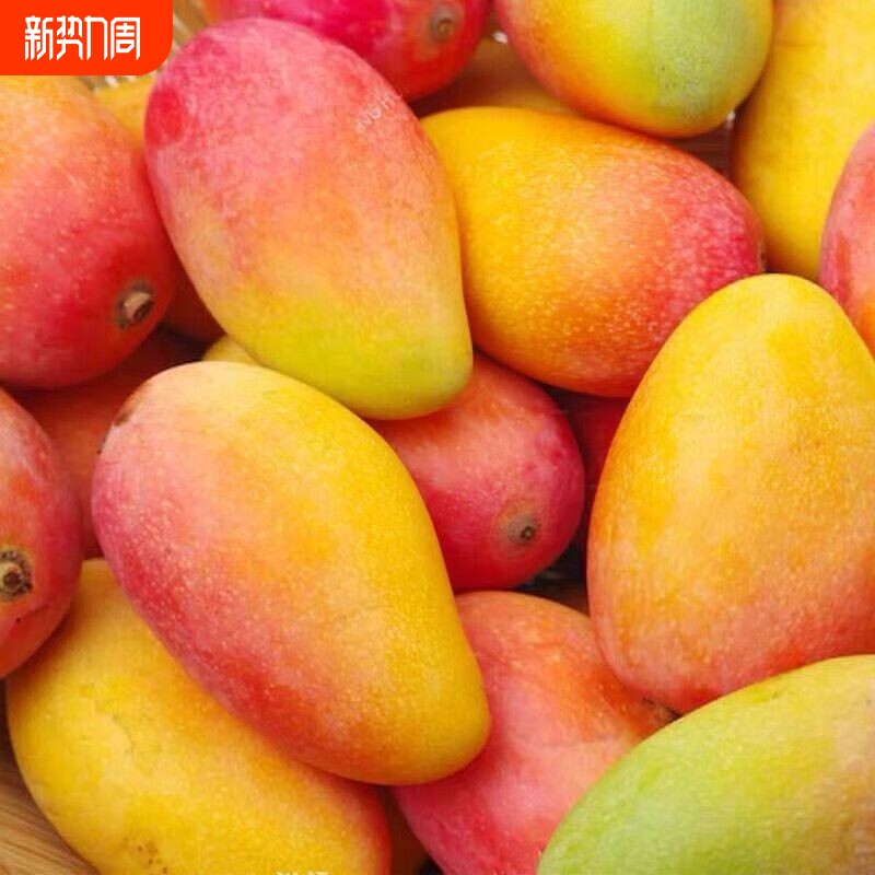 正宗海南贵妃芒红金龙3/5/9斤皮薄核薄肉厚甜蜜多汁新鲜芒果