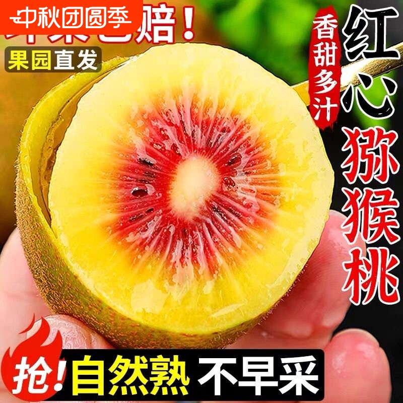【彩箱】正宗四川蒲江红心猕猴桃水果当季整箱批发奇异果新鲜包邮图片