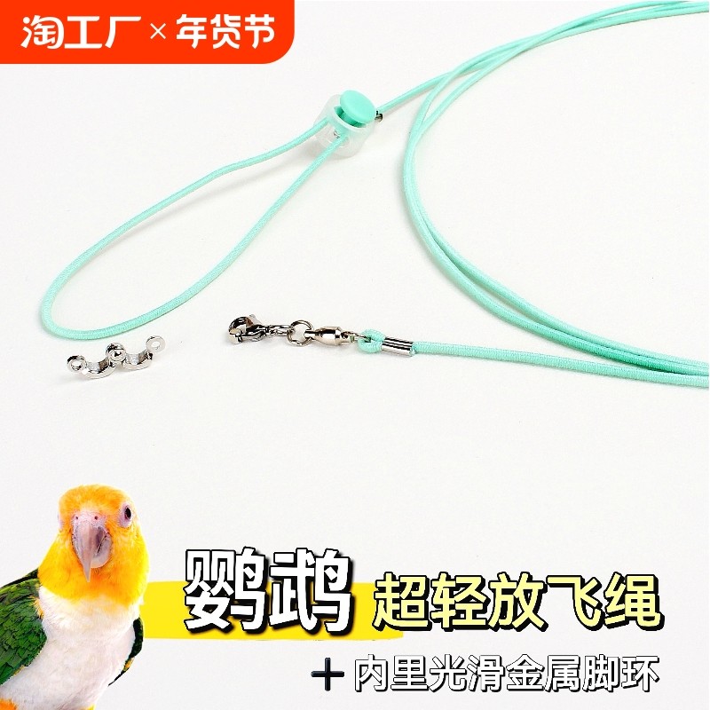 �ۻ��㣺2������ɫ��4�Ž����Ż��� 2�����ķŷ�������ǣ�����������᲻�˽�ѵ������Ƥĵ������3����