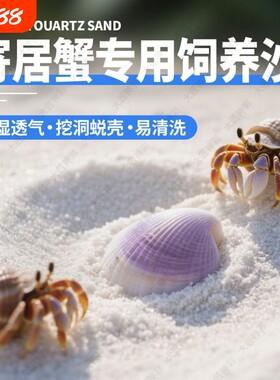 寄居蟹专用砂珊瑚沙天然垫材螃蟹海沙鱼缸造景底砂菲律宾白沙饲养