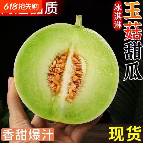 山东单县  冰淇淋玉菇甜瓜新鲜水果当季白香瓜头茬
