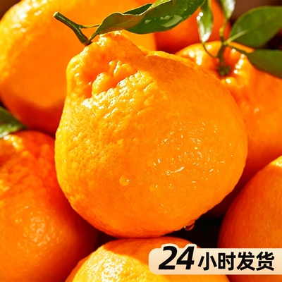 四川不知火丑橘整箱丑八怪当季新鲜孕妇水果耙耙丑柑手剥桔子包邮