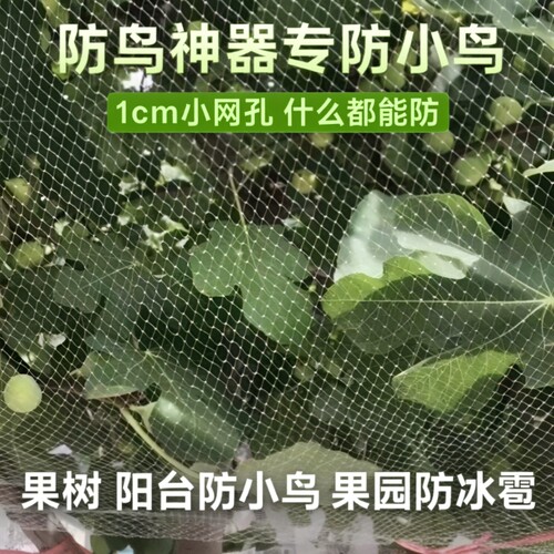 防鸟防冰雹网菜地|超4000次加购