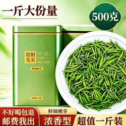 嫩芽绿茶2026信阳毛尖特级明前新茶叶浓香型高档送礼口粮茶炒青