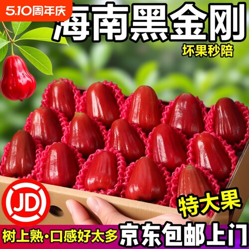 顺丰京东海南三亚黑金刚莲雾精品大果脆甜新鲜包邮连雾礼盒装年货