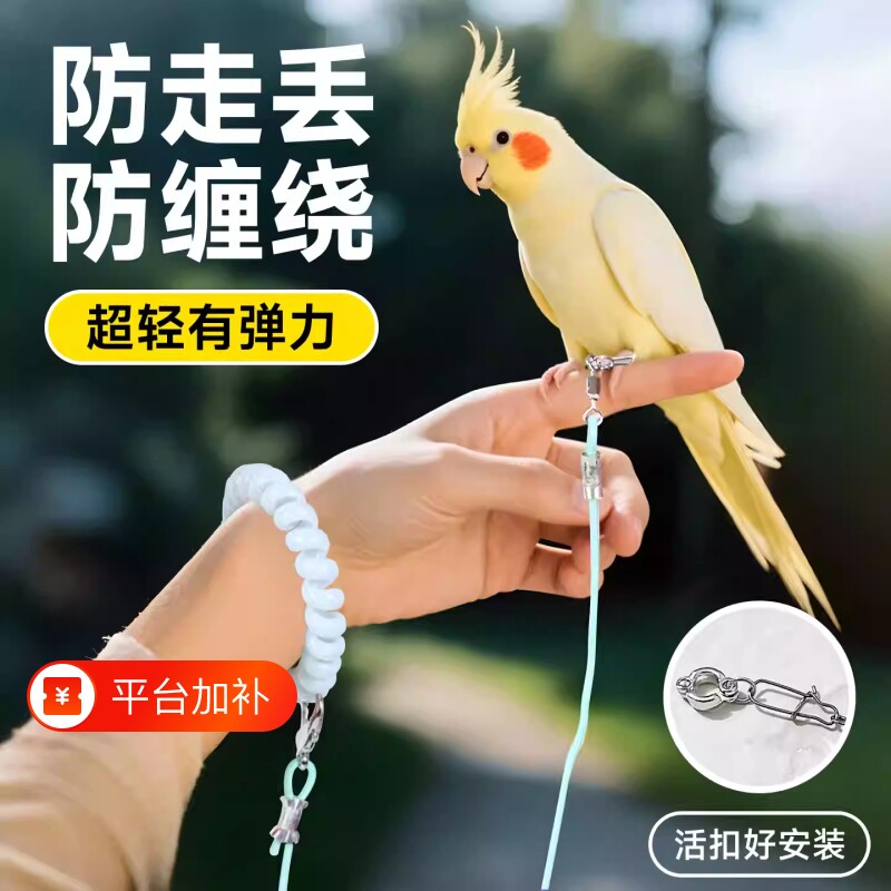 鹦鹉放飞绳超轻训练牵引绳外出遛鸟神器虎皮牡丹玄凤专用绳子八哥